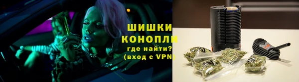 ГАЛЛЮЦИНОГЕННЫЕ ГРИБЫ Алзамай